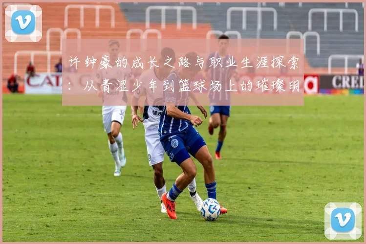 许钟豪的成长之路与职业生涯探索：从青涩少年到篮球场上的璀璨明星