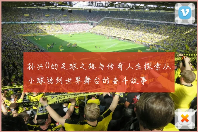 孙兴O的足球之路与传奇人生探索从小球场到世界舞台的奋斗故事