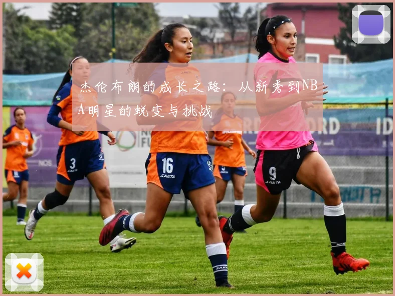 杰伦布朗的成长之路：从新秀到NBA明星的蜕变与挑战