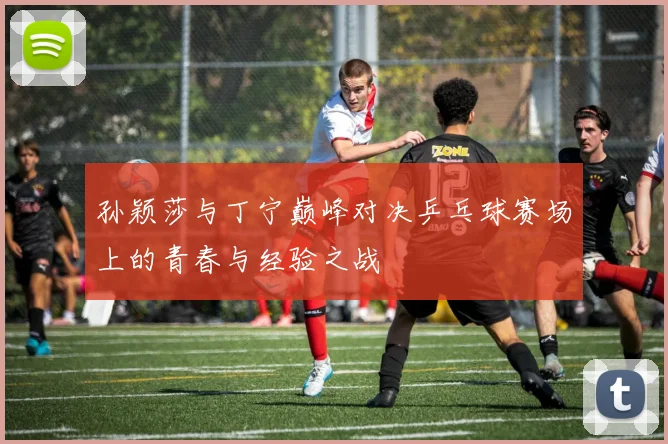 孙颖莎与丁宁巅峰对决乒乓球赛场上的青春与经验之战