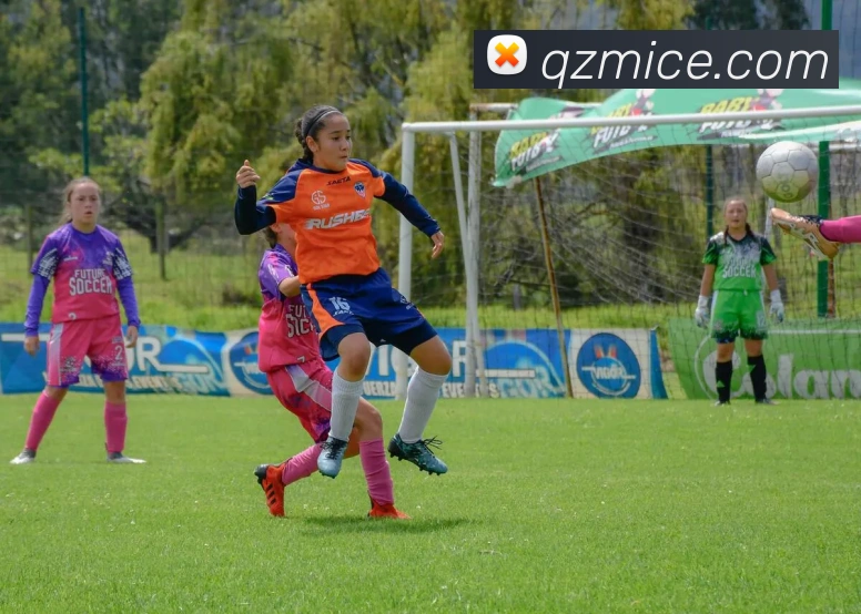 App Interface Preview